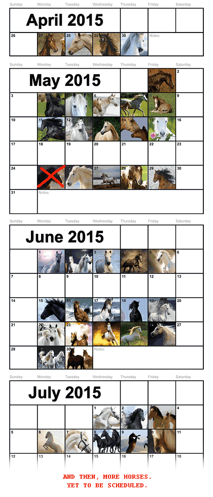 Horse Calendars 2015